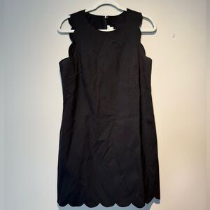 J Crew Scalloped Hem Shift Dress 8